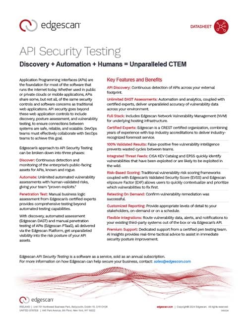 API Security Testing